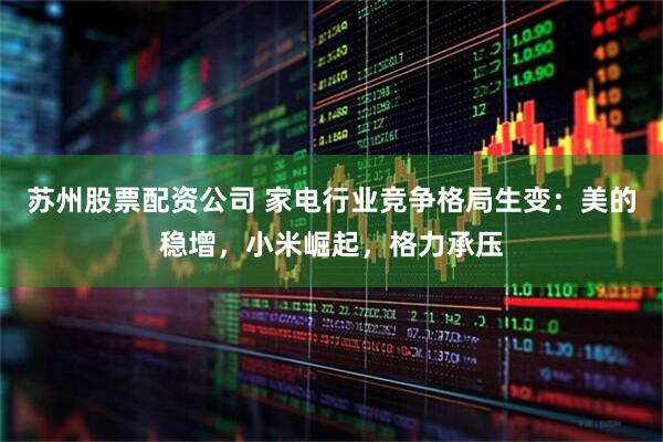 苏州股票配资公司 家电行业竞争格局生变：美的稳增，小米崛起，格力承压