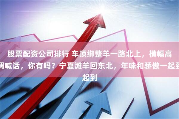 股票配资公司排行 车顶绑整羊一路北上，横幅高调喊话，你有吗？宁夏滩羊回东北，年味和骄傲一起到