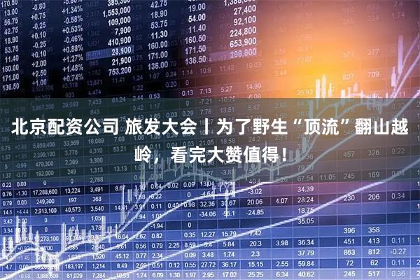 北京配资公司 旅发大会丨为了野生“顶流”翻山越岭，看完大赞值得！