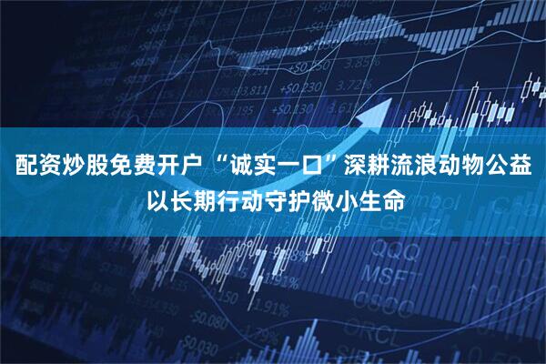 配资炒股免费开户 “诚实一口”深耕流浪动物公益 以长期行动守护微小生命